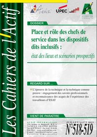 Place et rôle des chefs de service dans les dispositifs dits inclusifs : état des lieux et scénarios prospectifs